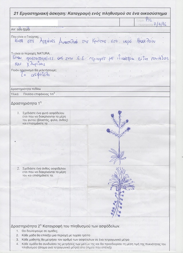 φύλο εργασίας